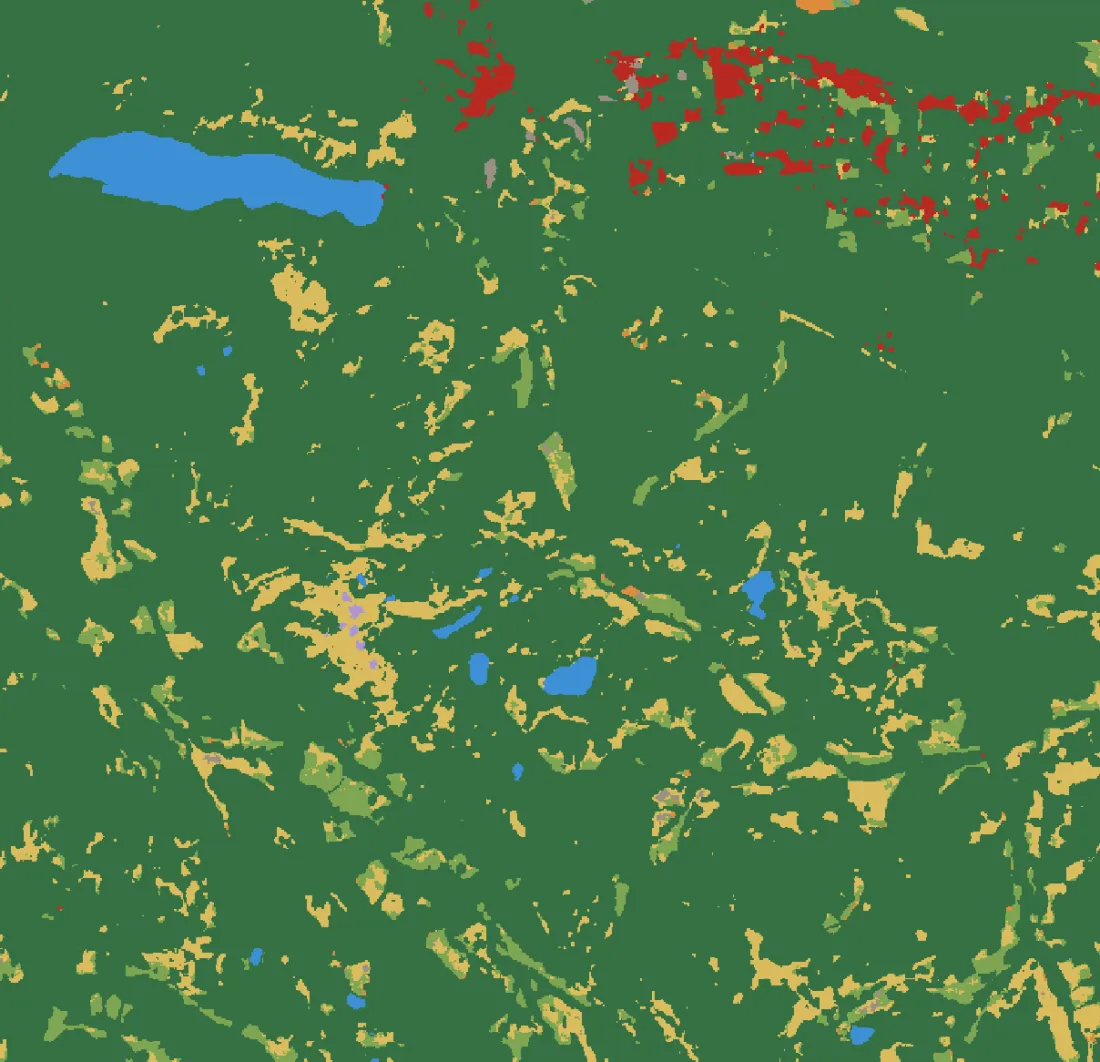 Land cover classification map